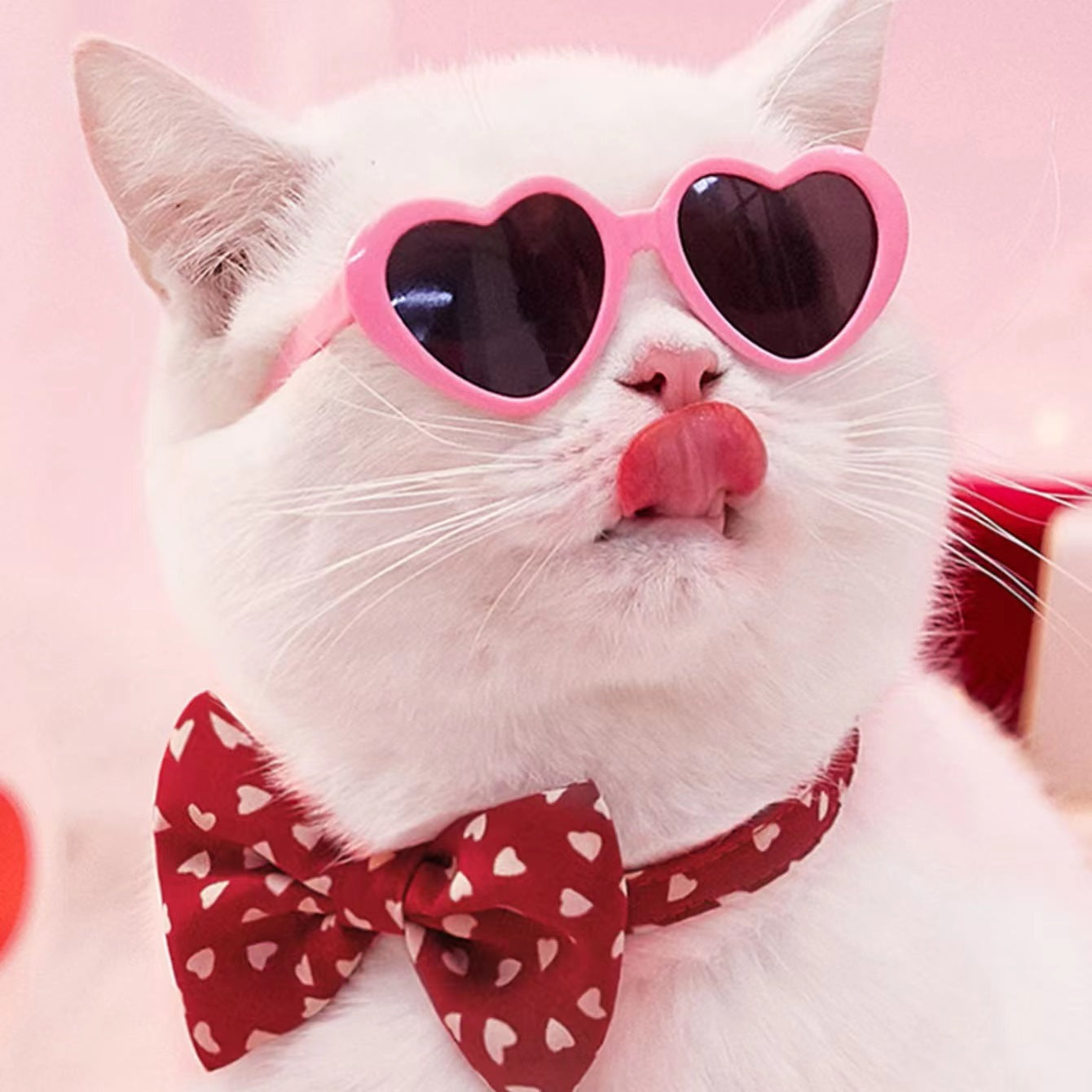 Doll Sunglasses Pet Accessories